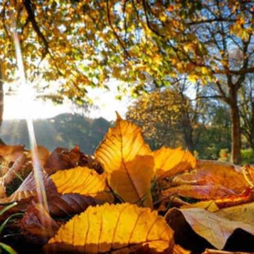 Weekend cu temperaturi de până la 20 de grade în zonele de deal din România