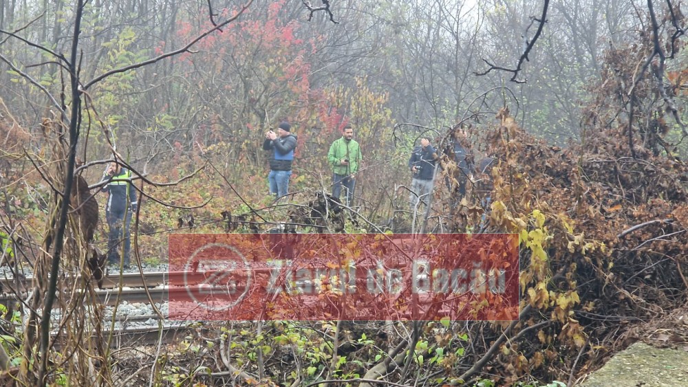 Cadavrul unei femei găsit lângă calea ferată din Bacău, anchetă în curs