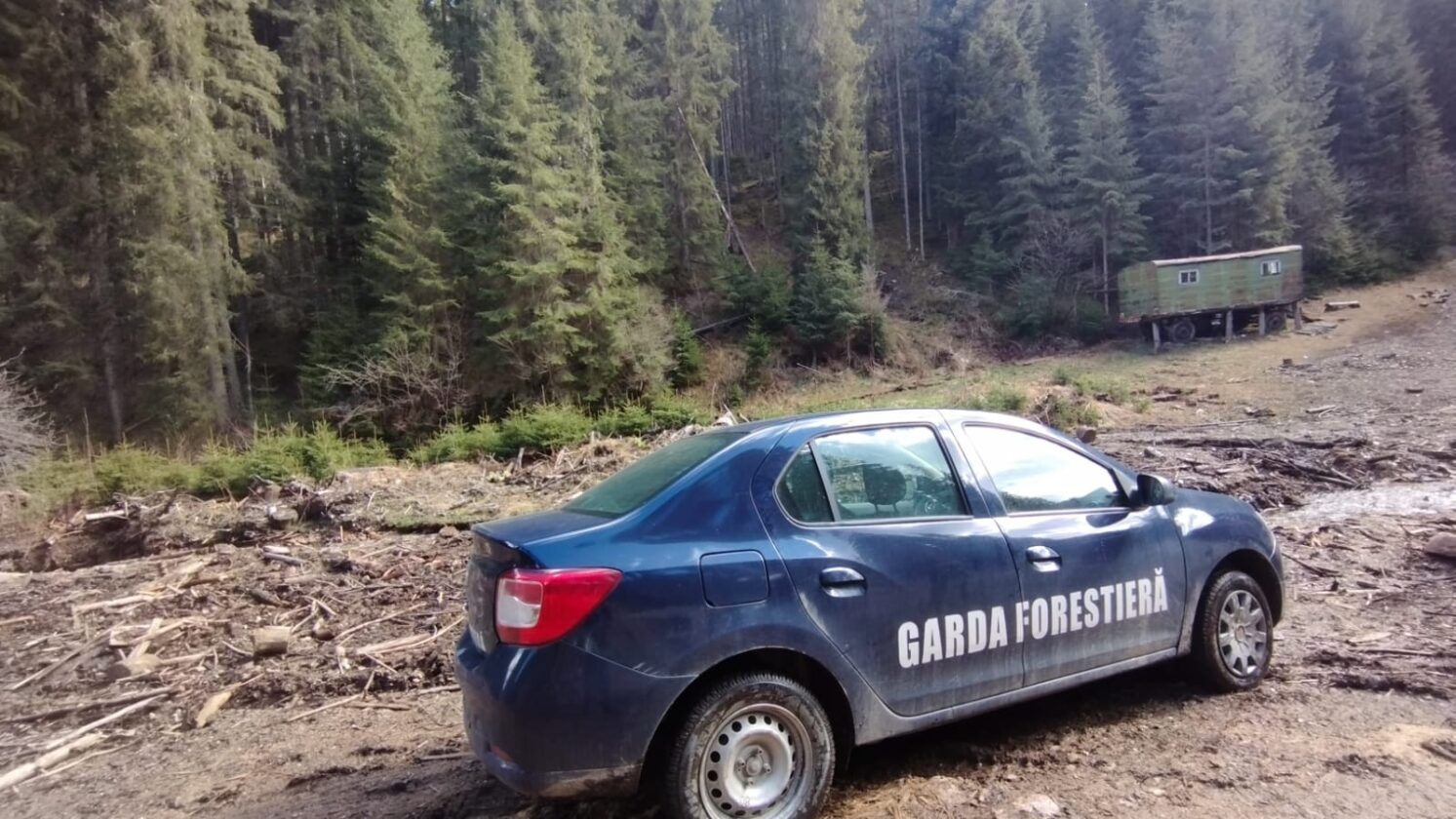 Guvernul reorganizează Garda Forestieră și crește numărul angajaților din teritoriu