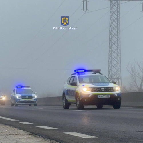 Amplă acțiune pentru combatarea evaziunii fiscale și incendiilor ilegale în Mătăsaru