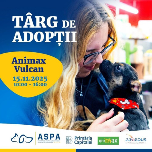 Târg de adopții de căței organizat la Animax Vulcan pe 15 noiembrie