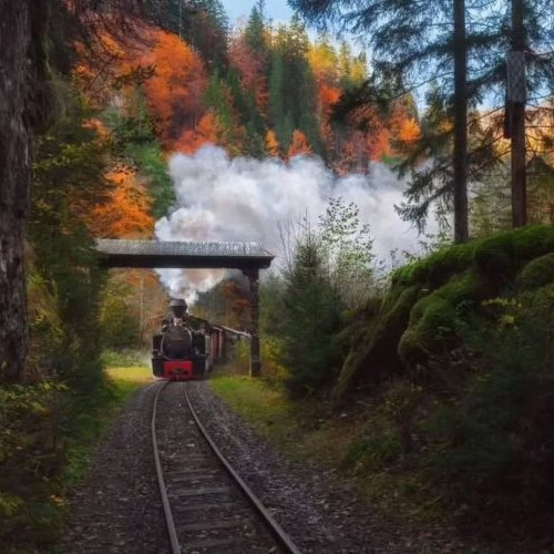 Timpul pare să încetinească pe Valea Vaserului, în inima Maramureșului