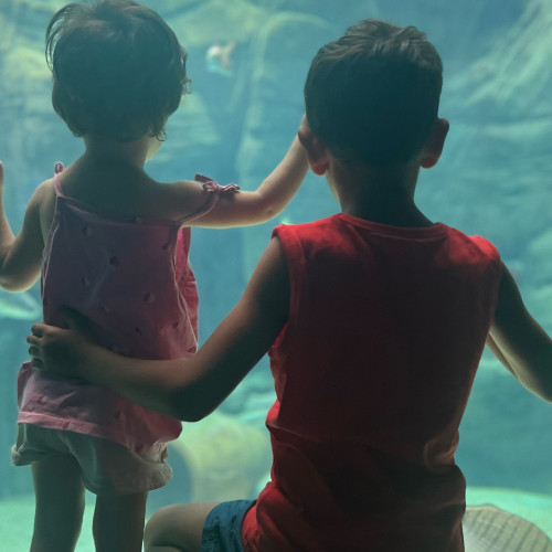 O familie din Brașov a adoptat un băiat și a rămas însărcinată a doua zi