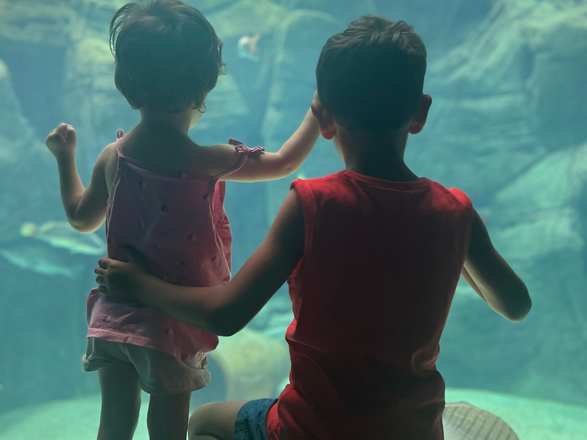 O familie din Brașov a adoptat un băiat și a rămas însărcinată a doua zi