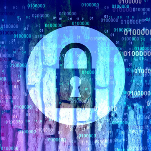 Bitdefender anunță concedieri în România, afectând 125 de angajați