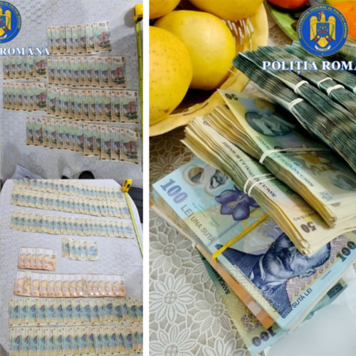 Percheziții la importatori de flori din Olanda pentru evaziune fiscală și spălare de bani