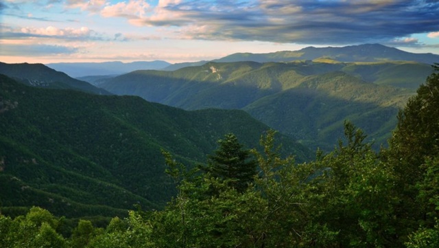 Fundația Conservation Carpathia respinge acuzațiile privind exploatarea lemnului în jurul Făgărașului