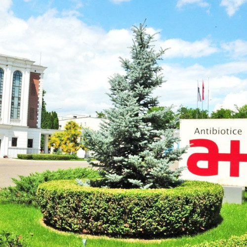 Antibiotice Iaşi raportează scădere semnificativă a profitului în primele nouă luni ale anului