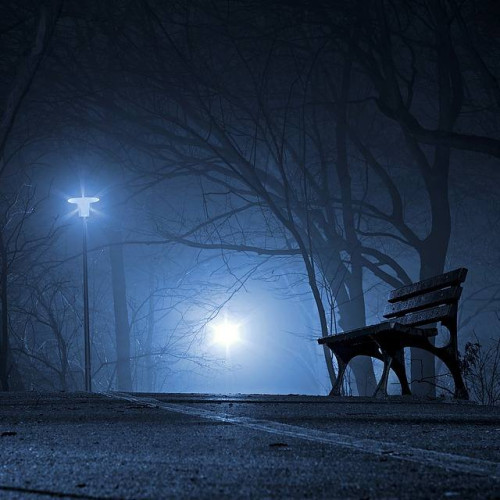 Ceață densă în județul Dâmbovița până la ora 23:00