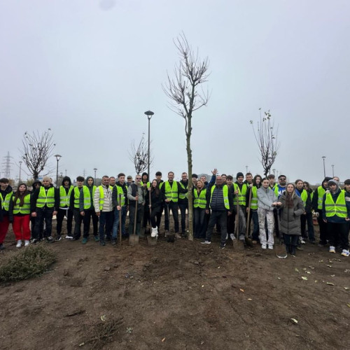 Constanța își îmbunătățește spațiile verzi printr-o amplă acțiune de plantare de arbori