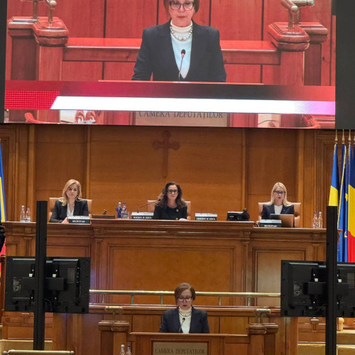 Deputații au adoptat oficial luna martie ca Luna Femeilor în România