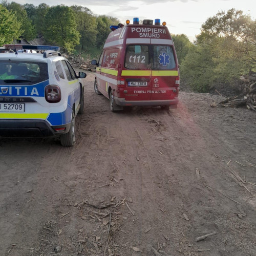 Bărbat găsit mort sub un copac prăbușit într-o pădure din Cluj