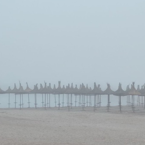 Ceața densă reduce vizibilitatea în Dobrogea, crescând riscurile în trafic