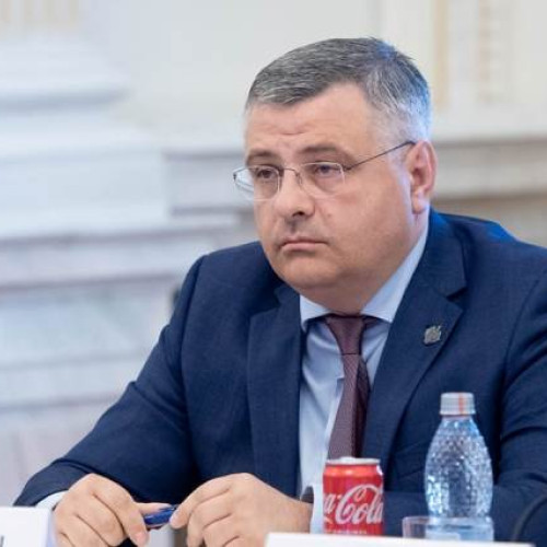 PNL susține candidatura Adrianei Săftoiu pentru șefia TVR