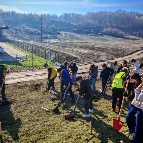 Campanie de împădurire cu peste 1.550 de puieți plantați la Șotânga