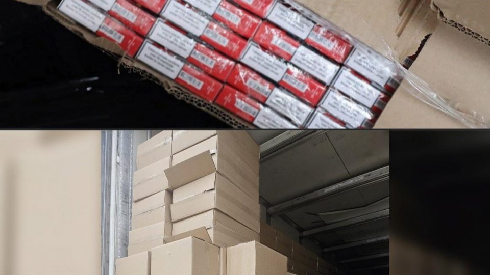 Șofer reținut în Dolj după descoperirea a aproape 200.000 de pachete de țigări de contrabandă