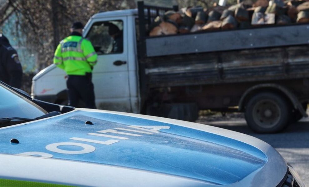 Acțiune integrată pentru protejarea fondului forestier în Bistrița-Năsăud