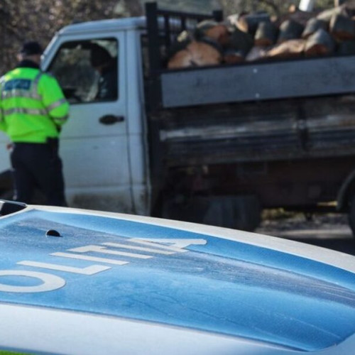 Acțiune integrată pentru protejarea fondului forestier în Bistrița-Năsăud