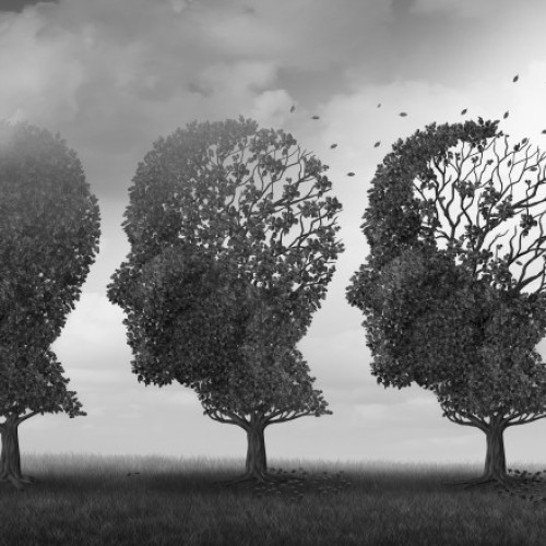 Studiu explică pierderea memoriei sociale în boala Alzheimer și deschide noi perspective terapeutice