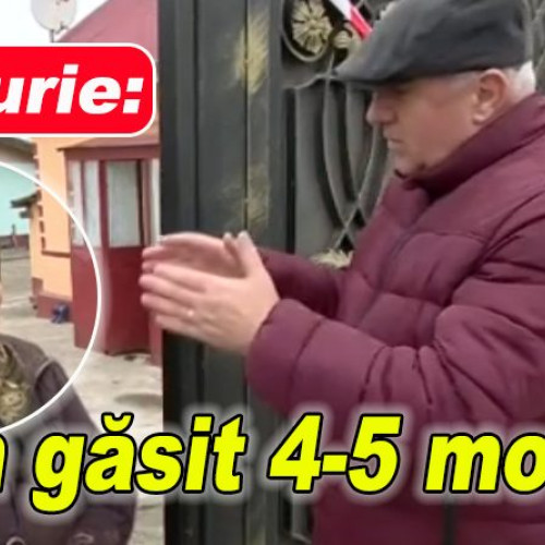 Focar de pestă porcină confirmat în comuna Țintești, pagube în gospodării