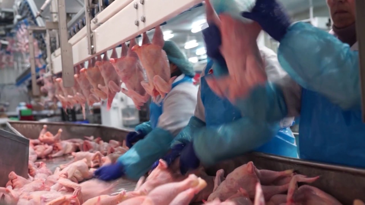 Omul de afaceri Dumitru Balan a cumpărat abatorul de păsări de la Răchiți