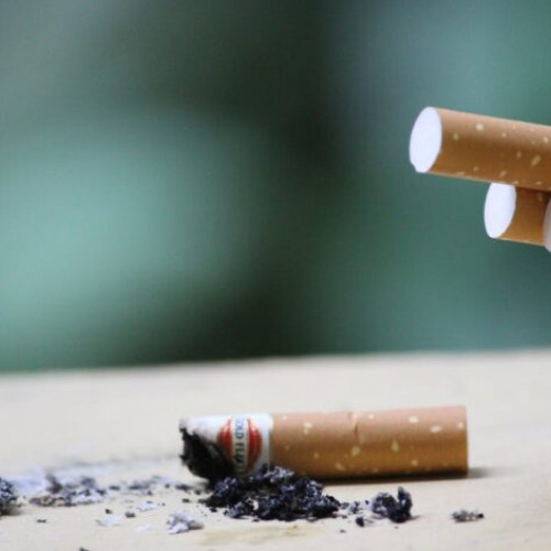 Cum să elimini eficient mirosurile neplăcute din locuință în 2025