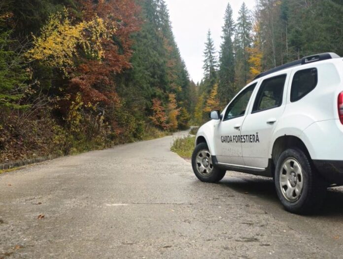 Acțiuni ale Gărzii Forestiere Focșani în octombrie pentru protecția pădurilor