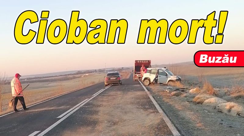 Cioban din Gherăseni accidentat mortal pe drumul județean Smeeni – Măxenu
