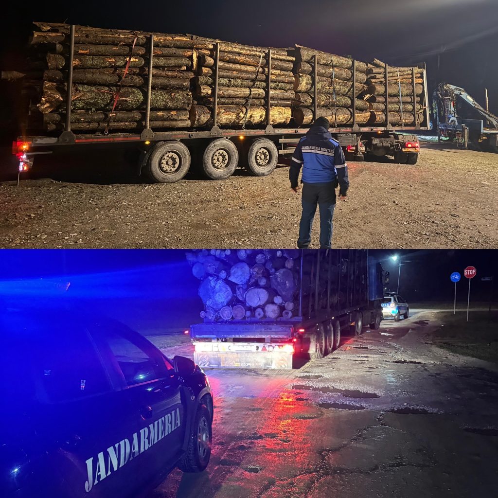 Jandarmii montani au depistat un transport ilegal de lemne în Baia de Fier