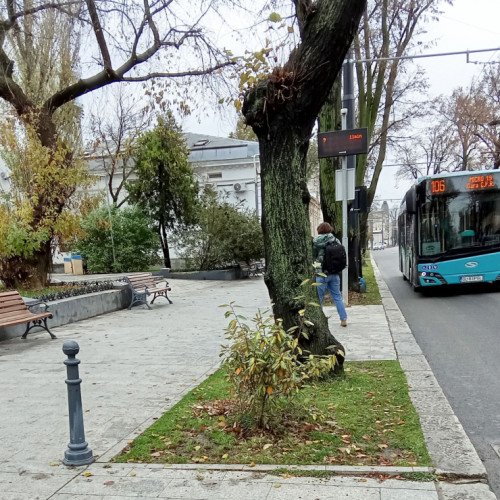 Refugiile pentru călători din Galați revin cu design retro pe strada Domnească