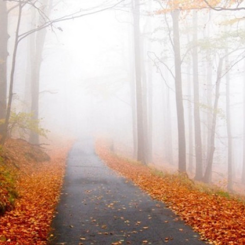 Prognoza meteo pentru România în perioada 24 noiembrie - 22 decembrie 2025