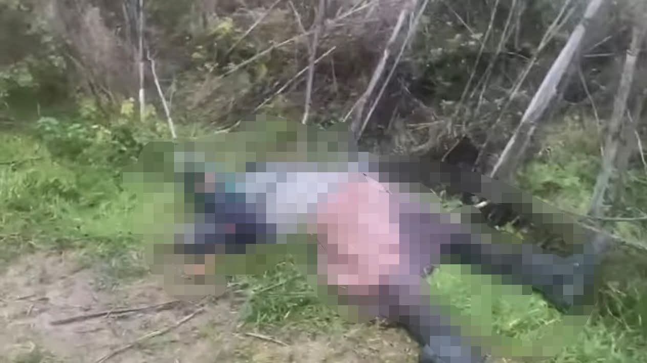 O femeie de 85 de ani, găsită moartă cu semne de atac de câini în Vaslui