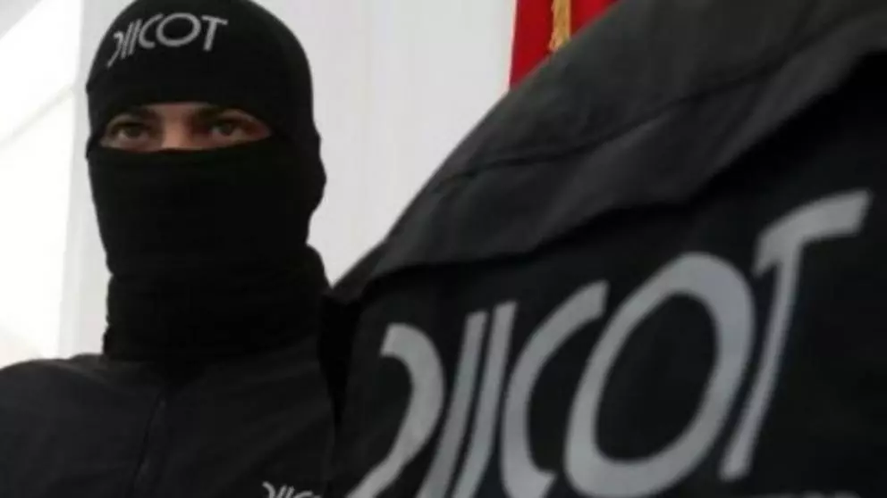 Doi bărbați reținuți pentru arme letale aduse în colet din Spania