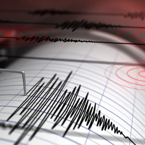 Cutremur de magnitudine 2,9 în zona seismică Vrancea în noiembrie 2025
