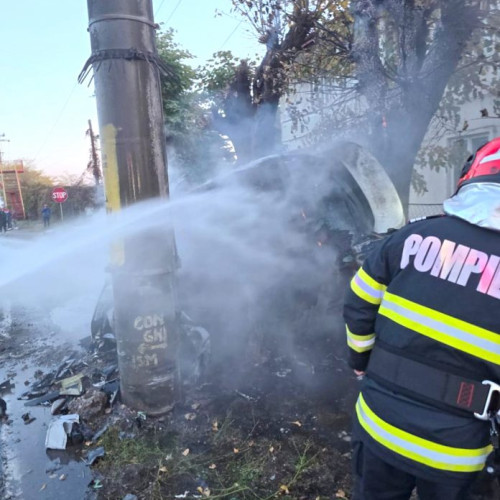 15 câini salvaţi de ­pompierii prahoveni, ­dintr-un incendiu izbucnit la o locuinţă din Ploieşti