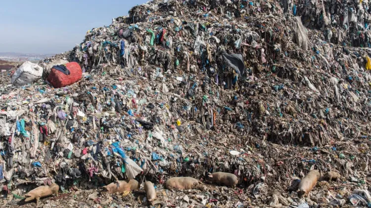 Locuitorii din Sopor cer soluții urgente pentru aerul poluat din Cluj-Napoca