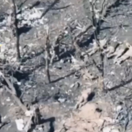 Videoclip arată executarea a cinci prizonieri ucraineni de către un soldat rus