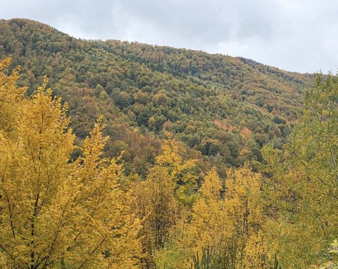 Vremea în Moldova în ultima săptămână din noiembrie și începutul lui decembrie