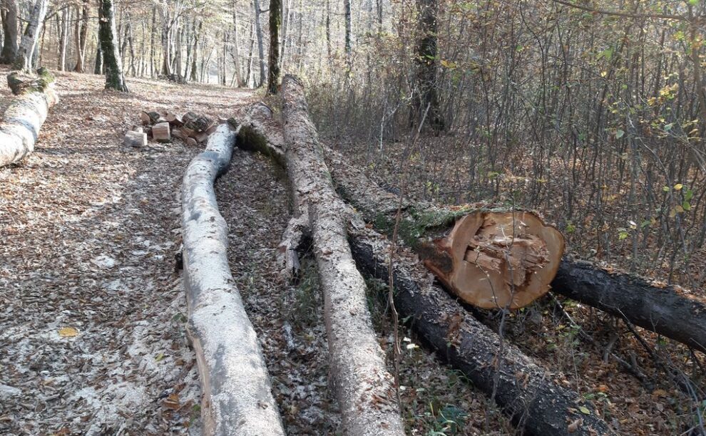 Bărbat decedat în urma unui accident între Uriu și Cristeștii Ciceului