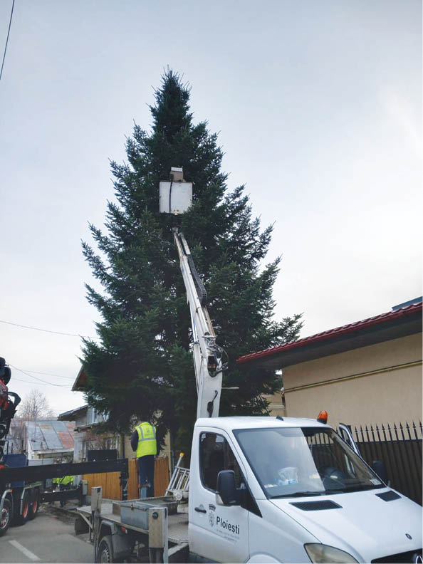 Brazi de Crăciun decorați în cartierele din Ploiești, grație donațiilor comunității