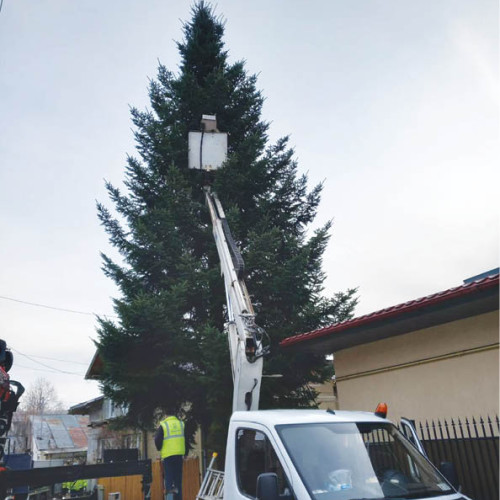 Brazi de Crăciun decorați în cartierele din Ploiești, grație donațiilor comunității