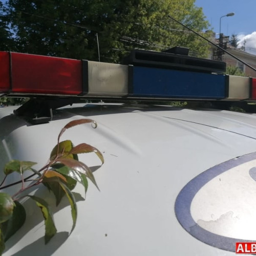 Doi bărbați din Ighiu, suspectați de furt la fermă, în vârstă de 18 și 36 de ani