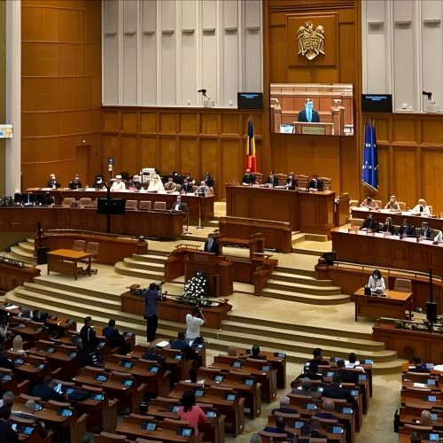 Ana Adriana Săftoiu și Robert Cristian Schwartz, validați drept președinți ai TVR și SRR