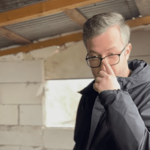 Deputatul Ștefăniță Avrămescu acuză autoritățile de complicitate la răspândirea pestei porcine