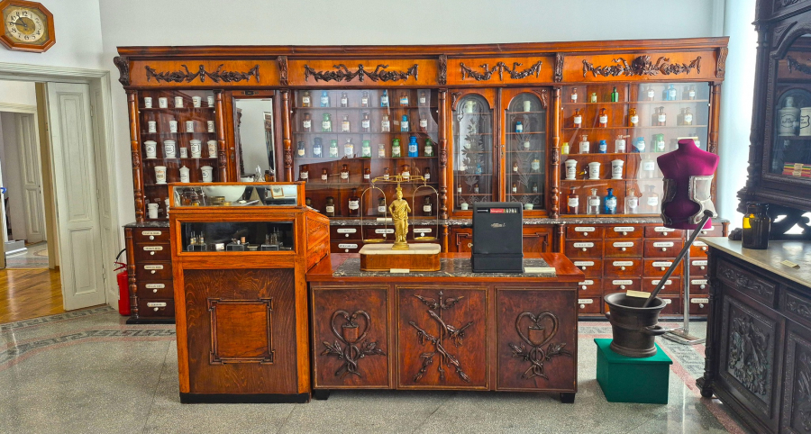 Expoziții diverse deschise în muzee și case culturale din Galați