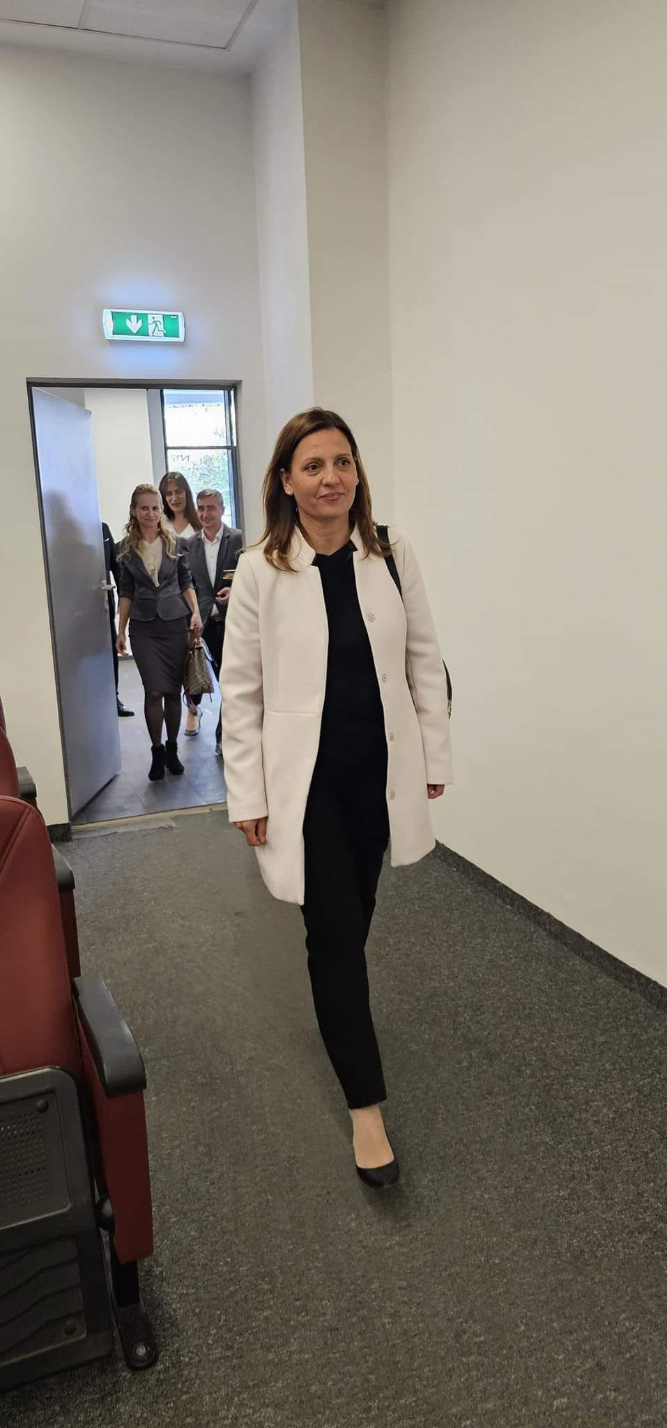 Ionelia Priescu cere demisia ministrului Apărării Ionuț Moșteanu din cauza studiilor