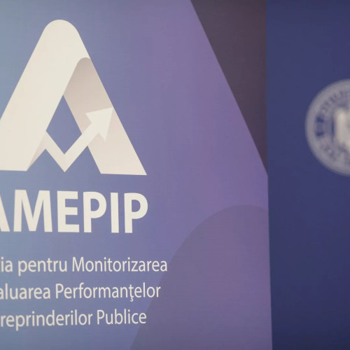 Anișoara Ulcelușe, numită președinte al AMEPIP pentru patru ani