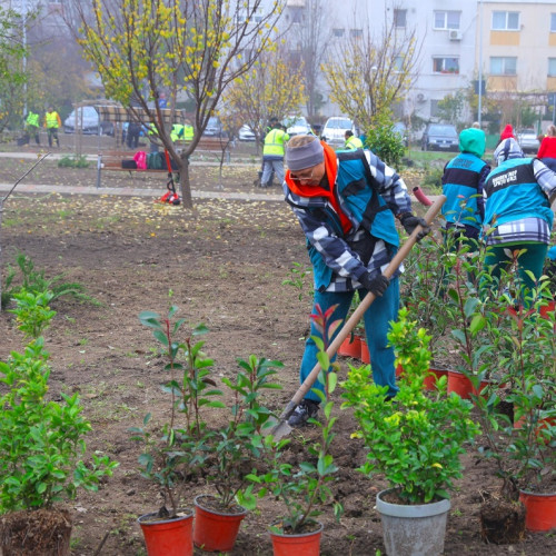 Constanța se pregătește de un nou spațiu verde cu facilități sportive și de recreere