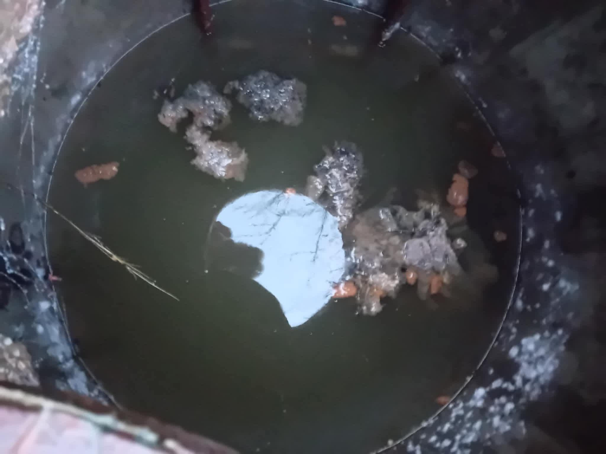 Primărița comunei Logrești avertizează asupra folosirii incorecte a rețelei de canalizare