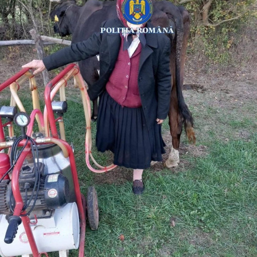 Bunuri furate recuperate pentru o femeie din Isverna după ancheta poliției